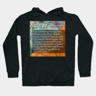 40 RULES OF LOVE - 18 Hoodie